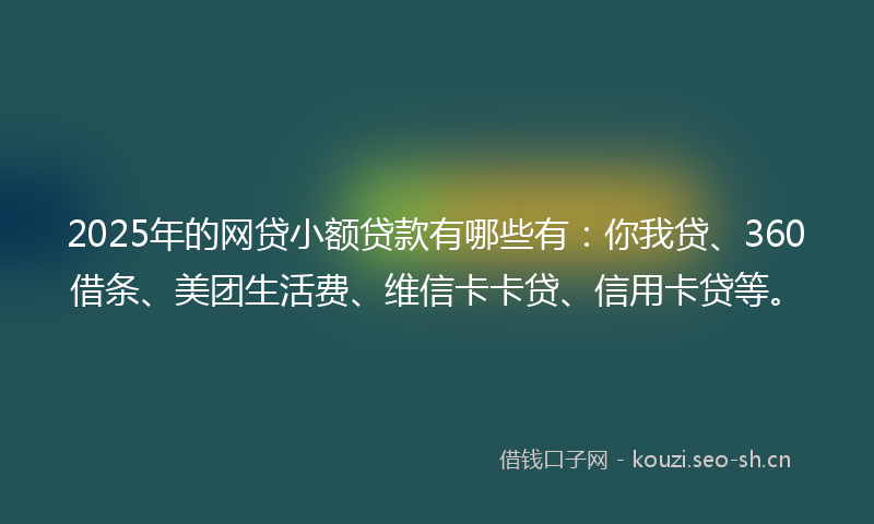 2025年的网贷小额贷款有哪些有：你我贷、360借条、美团生活费、维信卡卡贷、信用卡贷等。