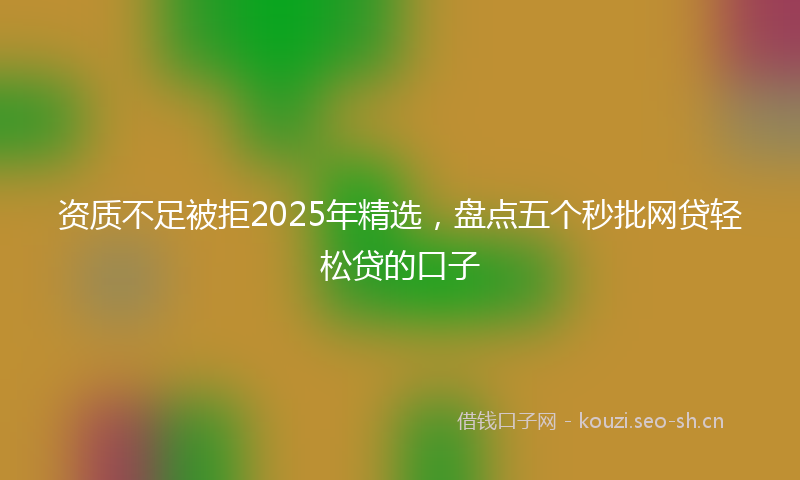 资质不足被拒2025年精选，盘点五个秒批网贷轻松贷的口子