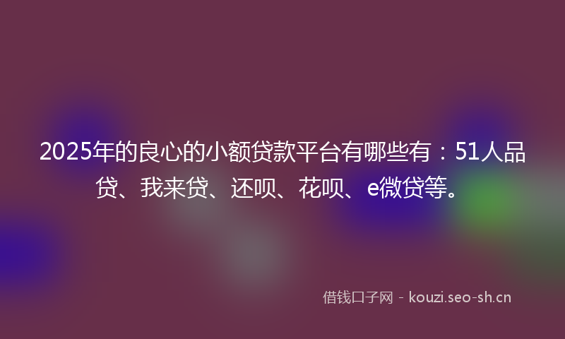 2025年的良心的小额贷款平台有哪些有：51人品贷、我来贷、还呗、花呗、e微贷等。