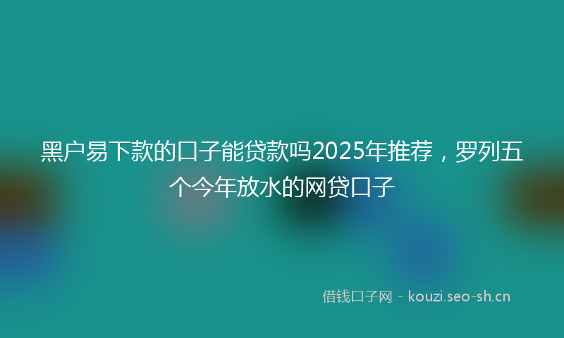 黑户易下款的口子能贷款吗2025年推荐，罗列五个今年放水的网贷口子
