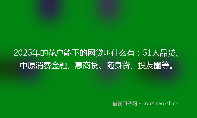 2025年的花户能下的网贷叫什么有：51人品贷、中原消费金融、惠商贷、随身贷、投友圈等。