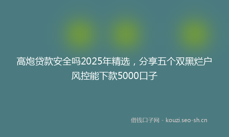 高炮贷款安全吗2025年精选，分享五个双黑烂户风控能下款5000口子
