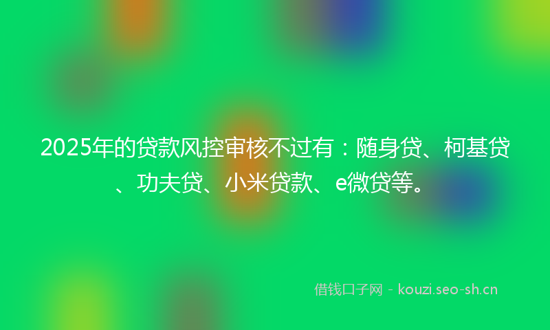 2025年的贷款风控审核不过有：随身贷、柯基贷、功夫贷、小米贷款、e微贷等。
