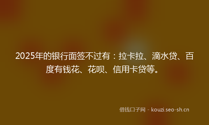2025年的银行面签不过有：拉卡拉、滴水贷、百度有钱花、花呗、信用卡贷等。