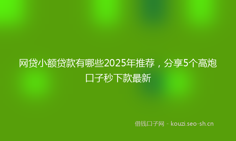 网贷小额贷款有哪些2025年推荐，分享5个高炮口子秒下款最新