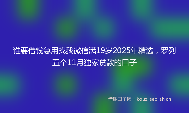 谁要借钱急用找我微信满19岁2025年精选，罗列五个11月独家贷款的口子
