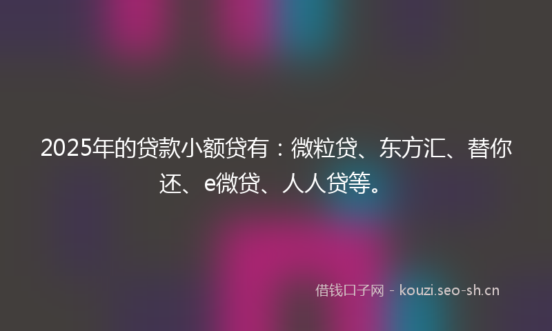 2025年的贷款小额贷有：微粒贷、东方汇、替你还、e微贷、人人贷等。