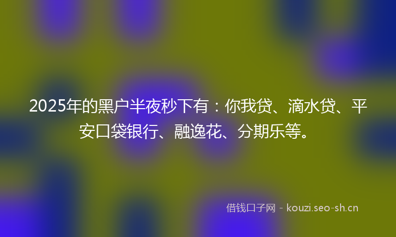 2025年的黑户半夜秒下有：你我贷、滴水贷、平安口袋银行、融逸花、分期乐等。