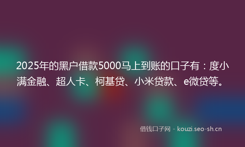 2025年的黑户借款5000马上到账的口子有：度小满金融、超人卡、柯基贷、小米贷款、e微贷等。