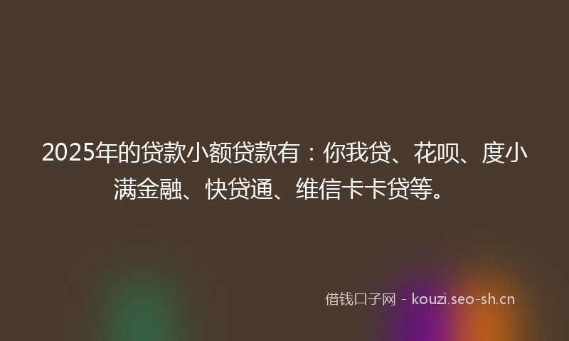 2025年的贷款小额贷款有：你我贷、花呗、度小满金融、快贷通、维信卡卡贷等。
