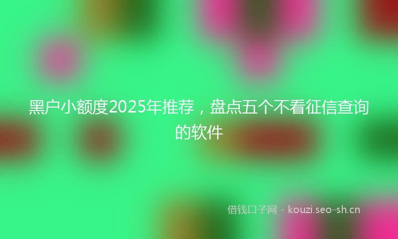 黑户小额度2025年推荐，盘点五个不看征信查询的软件