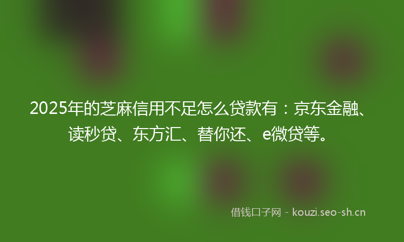 2025年的芝麻信用不足怎么贷款有：京东金融、读秒贷、东方汇、替你还、e微贷等。