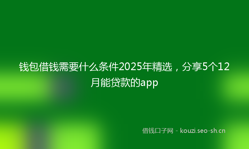 钱包借钱需要什么条件2025年精选，分享5个12月能贷款的app