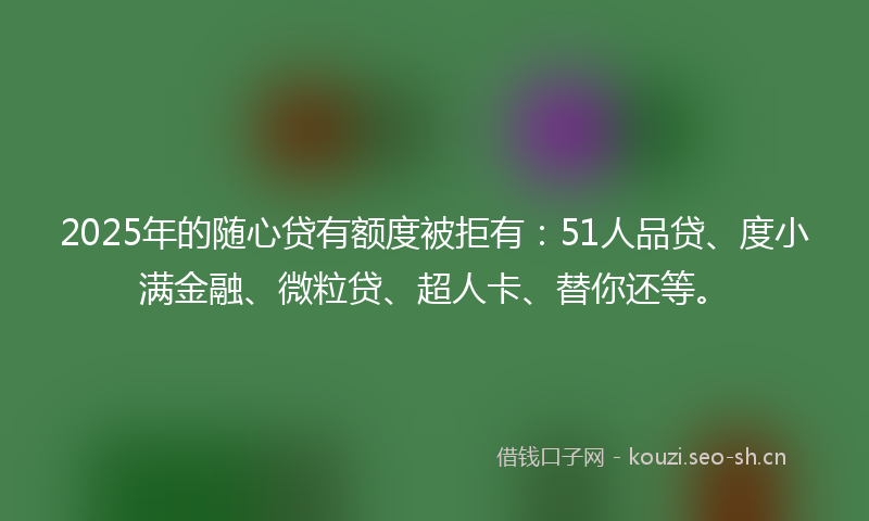 2025年的随心贷有额度被拒有：51人品贷、度小满金融、微粒贷、超人卡、替你还等。
