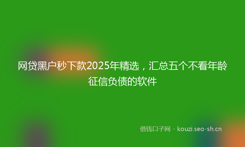 网贷黑户秒下款2025年精选，汇总五个不看年龄征信负债的软件
