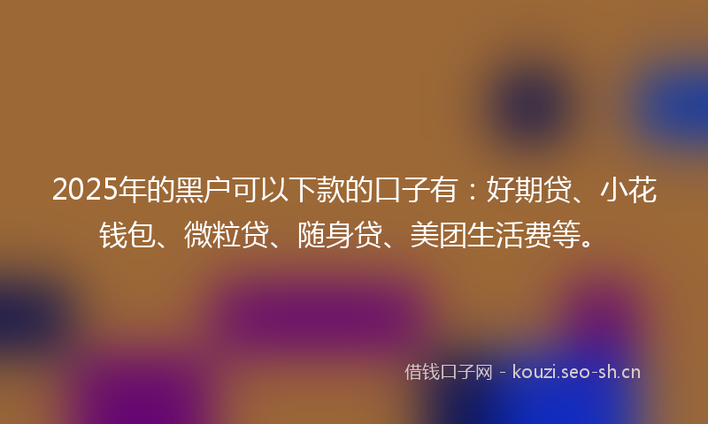 2025年的黑户可以下款的口子有：好期贷、小花钱包、微粒贷、随身贷、美团生活费等。