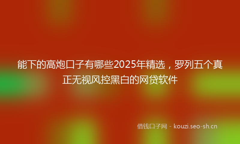 能下的高炮口子有哪些2025年精选，罗列五个真正无视风控黑白的网贷软件