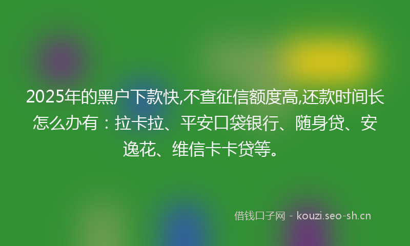 2025年的黑户下款快,不查征信额度高,还款时间长怎么办有：拉卡拉、平安口袋银行、随身贷、安逸花、维信卡卡贷等。