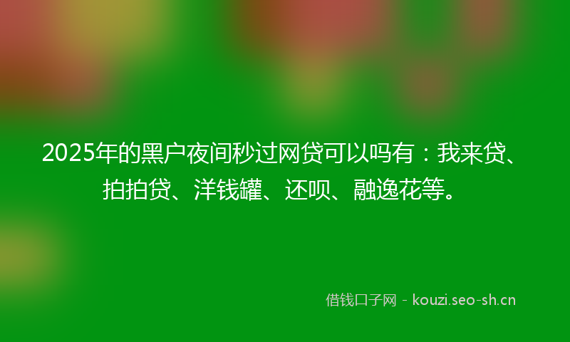 2025年的黑户夜间秒过网贷可以吗有：我来贷、拍拍贷、洋钱罐、还呗、融逸花等。