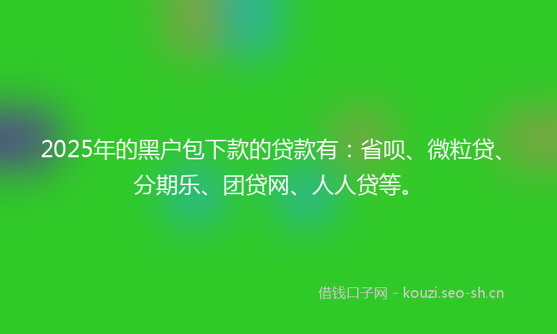 2025年的黑户包下款的贷款有：省呗、微粒贷、分期乐、团贷网、人人贷等。