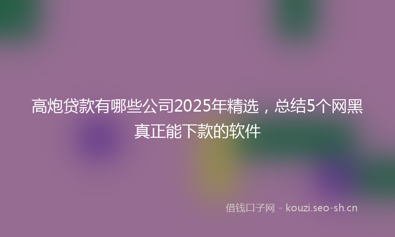 高炮贷款有哪些公司2025年精选，总结5个网黑真正能下款的软件