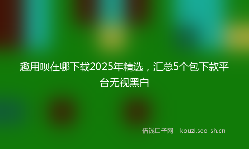 趣用呗在哪下载2025年精选，汇总5个包下款平台无视黑白
