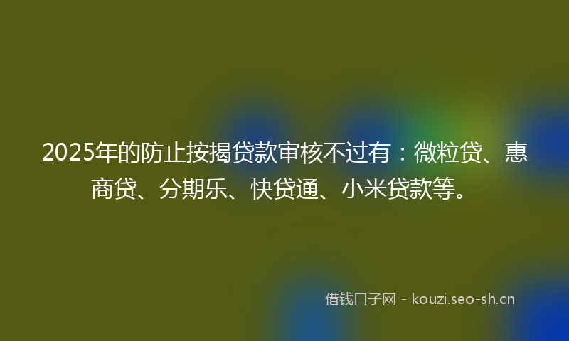 2025年的防止按揭贷款审核不过有：微粒贷、惠商贷、分期乐、快贷通、小米贷款等。