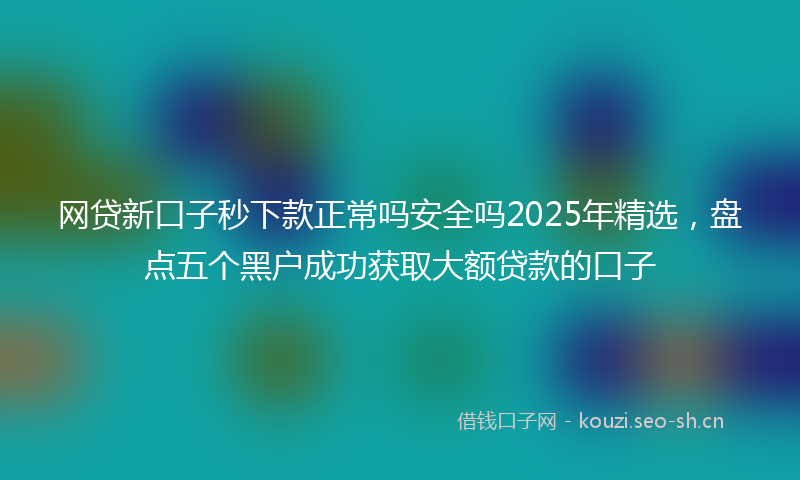 网贷新口子秒下款正常吗安全吗2025年精选，盘点五个黑户成功获取大额贷款的口子