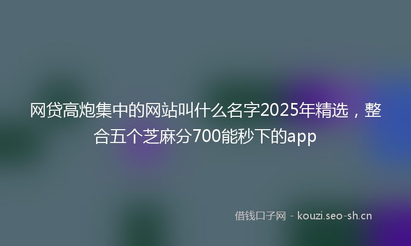 网贷高炮集中的网站叫什么名字2025年精选，整合五个芝麻分700能秒下的app