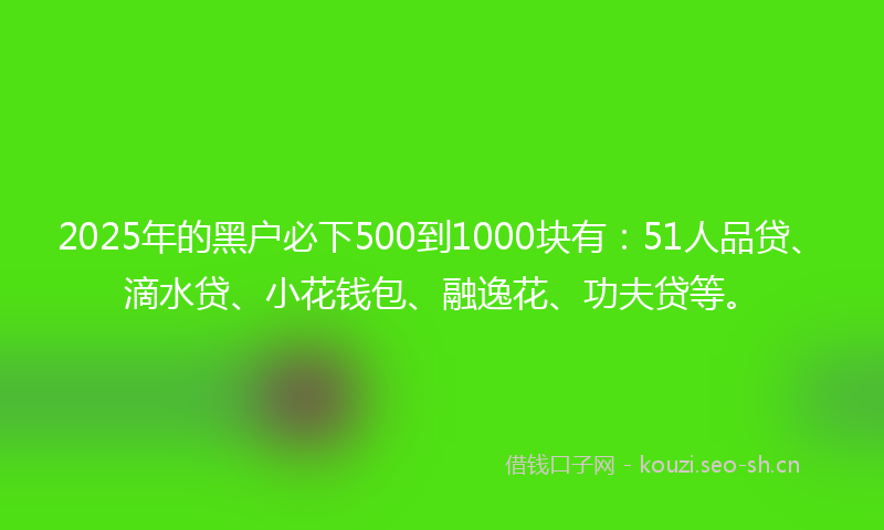 2025年的黑户必下500到1000块有：51人品贷、滴水贷、小花钱包、融逸花、功夫贷等。