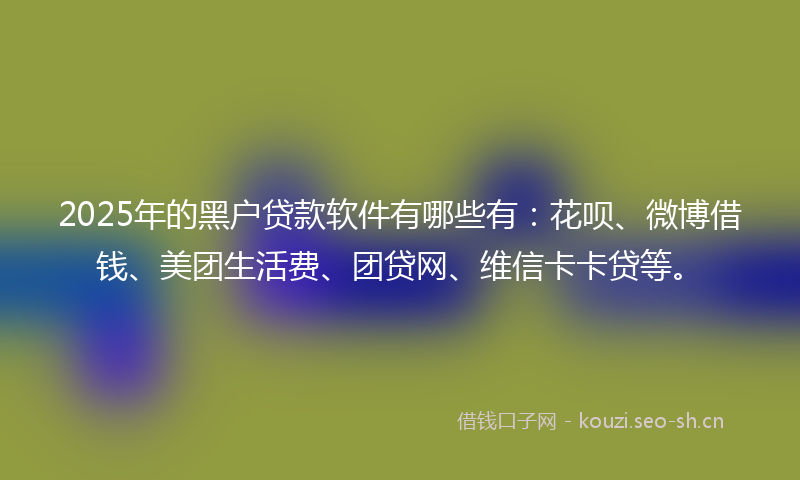 2025年的黑户贷款软件有哪些有：花呗、微博借钱、美团生活费、团贷网、维信卡卡贷等。