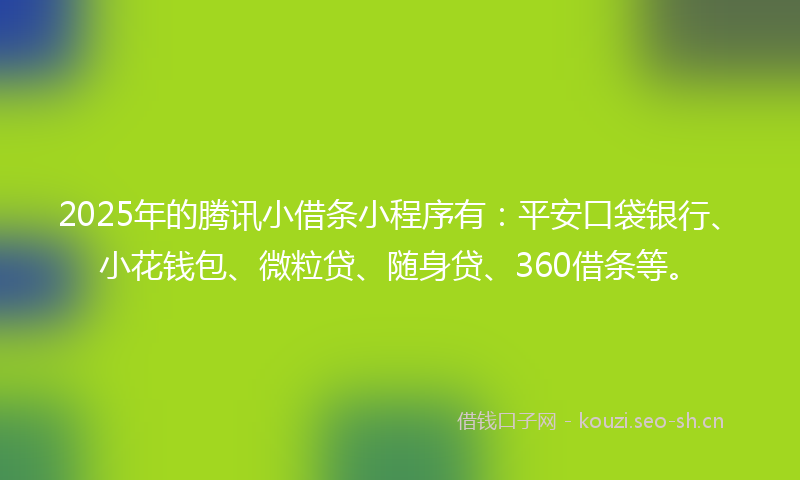 2025年的腾讯小借条小程序有：平安口袋银行、小花钱包、微粒贷、随身贷、360借条等。