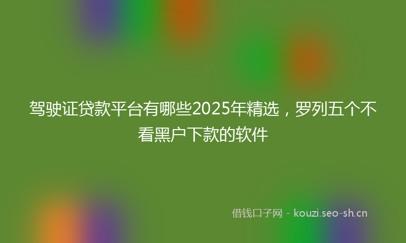 驾驶证贷款平台有哪些2025年精选，罗列五个不看黑户下款的软件