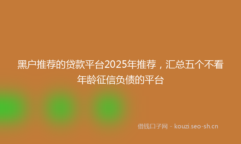 黑户推荐的贷款平台2025年推荐，汇总五个不看年龄征信负债的平台