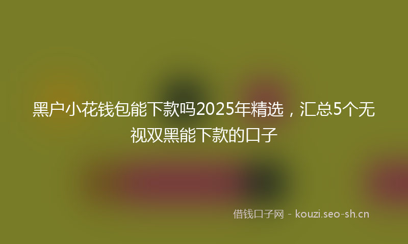 黑户小花钱包能下款吗2025年精选，汇总5个无视双黑能下款的口子