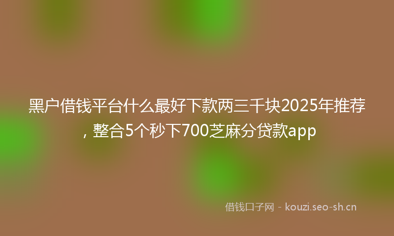 黑户借钱平台什么最好下款两三千块2025年推荐，整合5个秒下700芝麻分贷款app