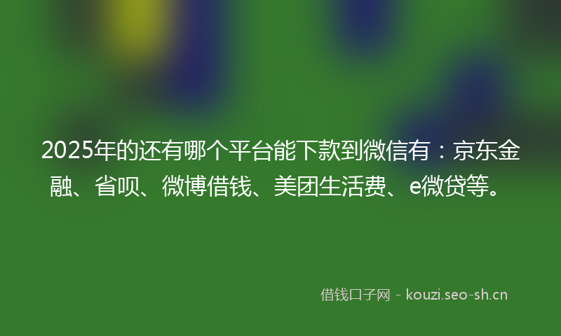 2025年的还有哪个平台能下款到微信有：京东金融、省呗、微博借钱、美团生活费、e微贷等。
