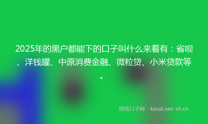 2025年的黑户都能下的口子叫什么来着有：省呗、洋钱罐、中原消费金融、微粒贷、小米贷款等。
