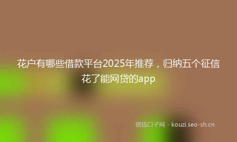 花户有哪些借款平台2025年推荐，归纳五个征信花了能网贷的app