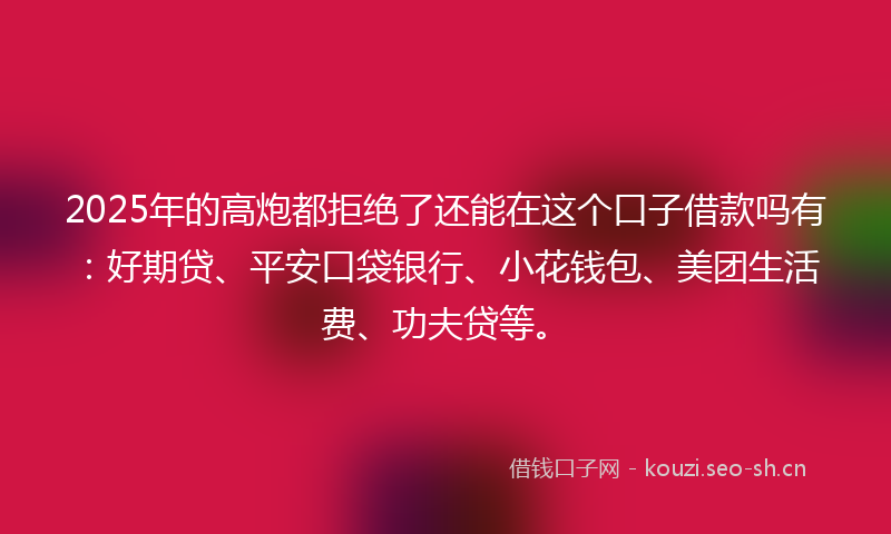 2025年的高炮都拒绝了还能在这个口子借款吗有：好期贷、平安口袋银行、小花钱包、美团生活费、功夫贷等。