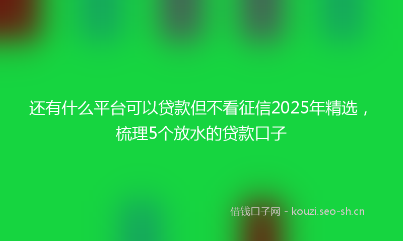 还有什么平台可以贷款但不看征信2025年精选，梳理5个放水的贷款口子