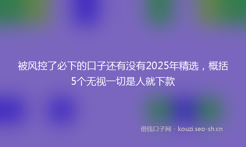 被风控了必下的口子还有没有2025年精选，概括5个无视一切是人就下款