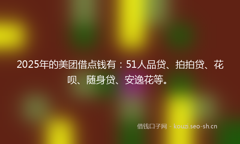 2025年的美团借点钱有：51人品贷、拍拍贷、花呗、随身贷、安逸花等。