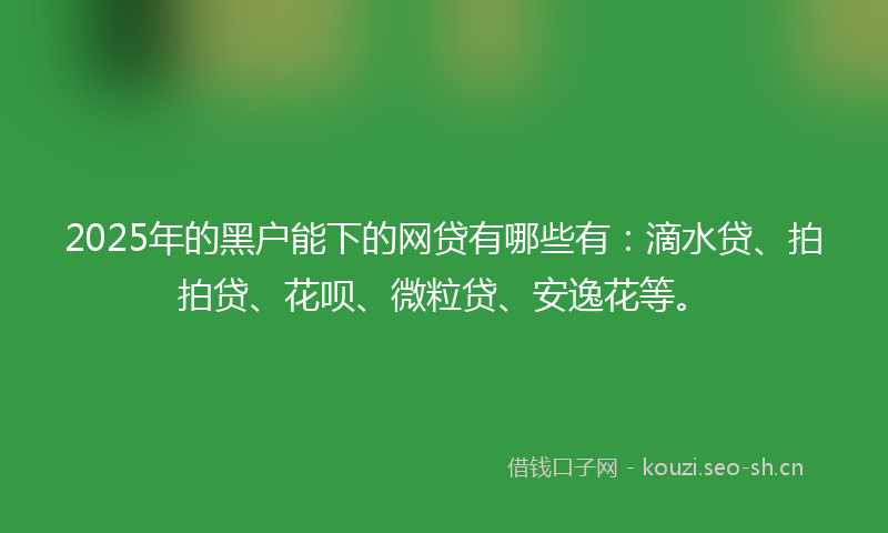2025年的黑户能下的网贷有哪些有：滴水贷、拍拍贷、花呗、微粒贷、安逸花等。