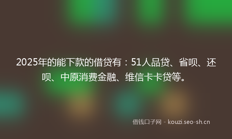 2025年的能下款的借贷有：51人品贷、省呗、还呗、中原消费金融、维信卡卡贷等。