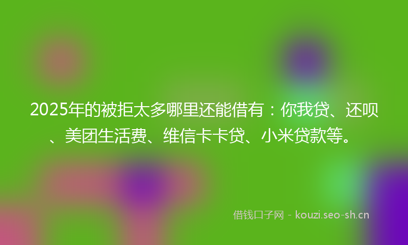 2025年的被拒太多哪里还能借有：你我贷、还呗、美团生活费、维信卡卡贷、小米贷款等。