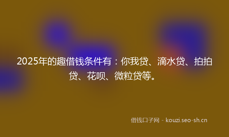 2025年的趣借钱条件有：你我贷、滴水贷、拍拍贷、花呗、微粒贷等。