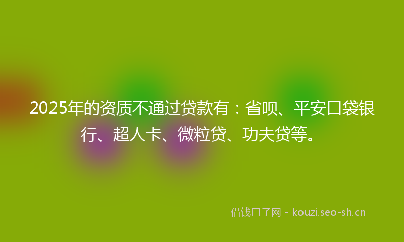 2025年的资质不通过贷款有：省呗、平安口袋银行、超人卡、微粒贷、功夫贷等。