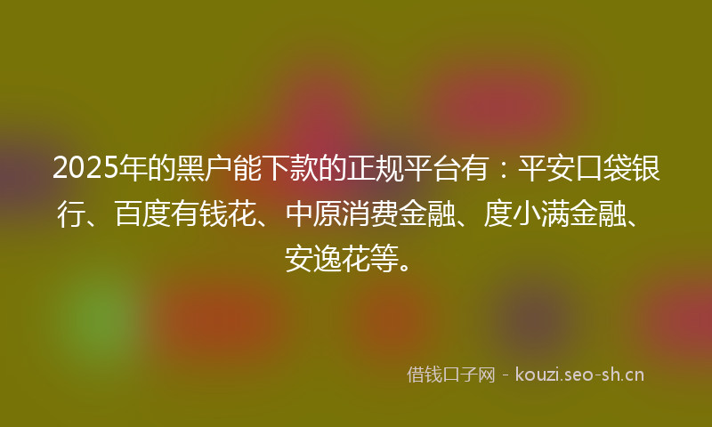 2025年的黑户能下款的正规平台有：平安口袋银行、百度有钱花、中原消费金融、度小满金融、安逸花等。
