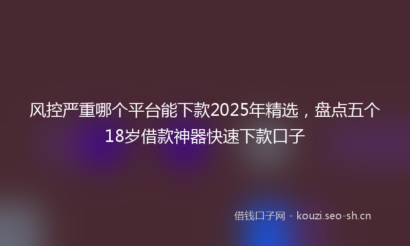 风控严重哪个平台能下款2025年精选，盘点五个18岁借款神器快速下款口子